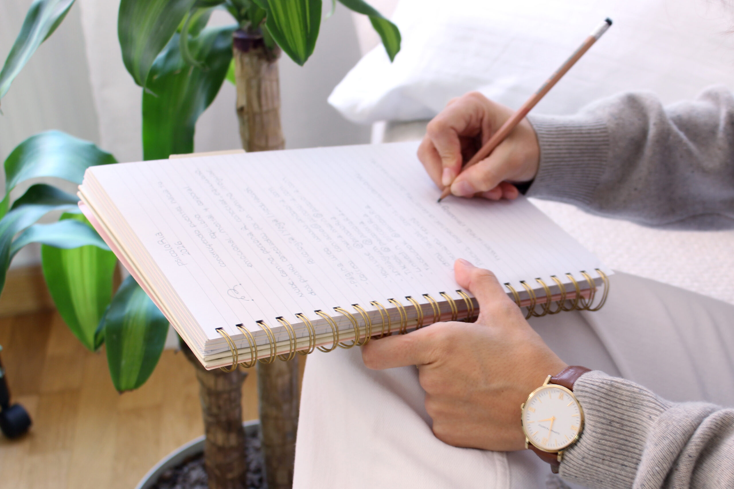 Primer plano de una persona tomando notas en un cuaderno durante una sesión de psicoloRia.